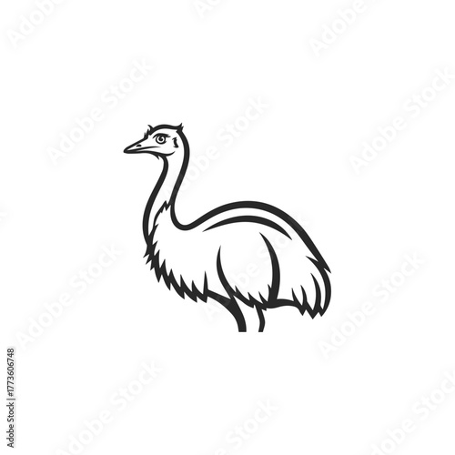 Stylized Emu Bird Line Art Illustration.