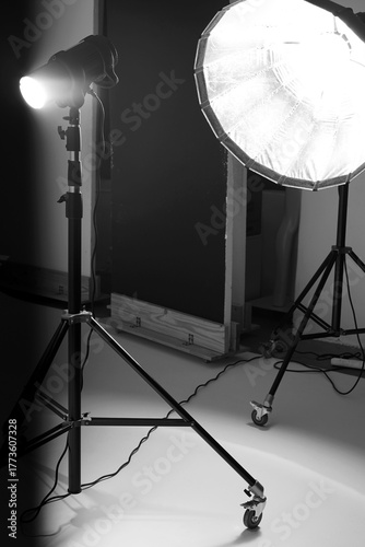 Studio Fashion Shoot Light Setup. Equipment with Modeling Light On.