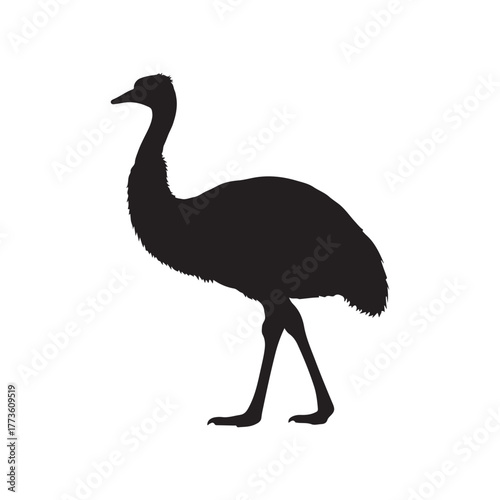 Australian Emu Animal Icon silhouette vector flat illustration design on white background