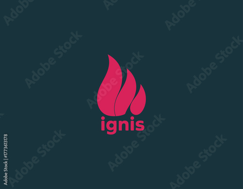 This striking flaming logo design features vibrant colors and shapes, ideal for brands in energy, warmth, or comfort sectors, symbolizing passion and strength.