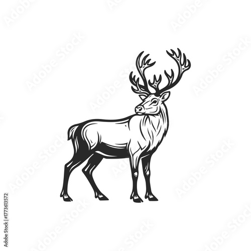 Majestic Stag with Antlers Stylized Wildlife Illustration.