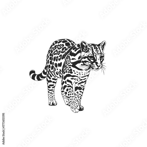 Ocelot Wild Cat Walking Silhouette.