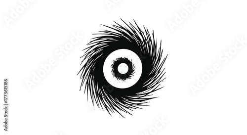 Abstract swirling black vortex with eye-like center on white background, representing chaos or a portal