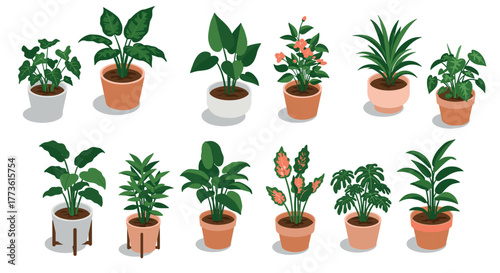 Collection of potted houseplants in flat design style