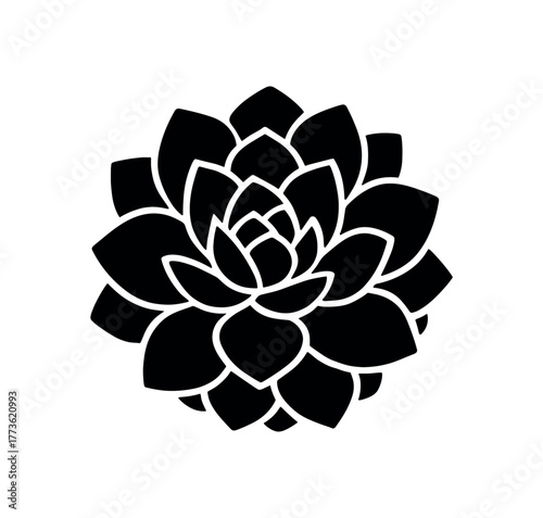 succulent sphere flat black solid vector illustration isolated on white background