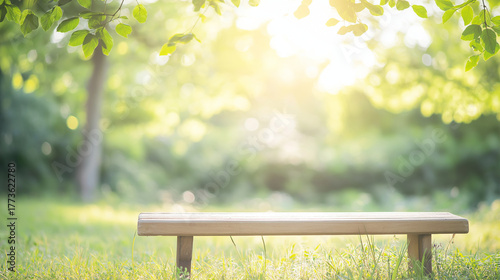 木漏れ日の中のベンチと緑の風景