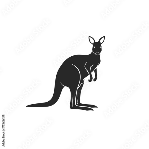 Kangaroo Silhouette Vector Illustration.