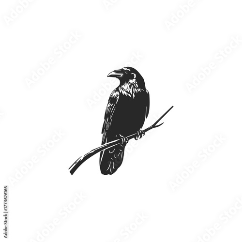 Majestic Black Raven Perched on Branch Illustration.