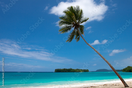 Bild auf Leinwand The immaculate beach at Port Olry, Espiritu Santo island, Vanuatu