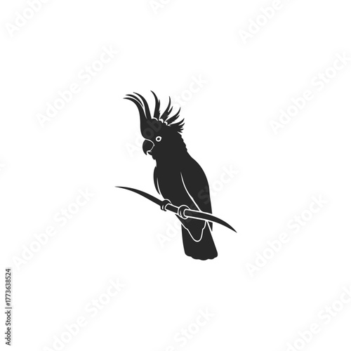 Black Cockatoo Silhouette Perched on Branch.
