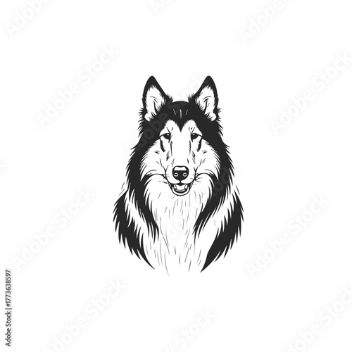Majestic Collie Dog Portrait Illustration.
