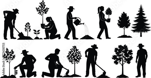 Tree planting, gardening, environment care, human silhouette, eco friendly, growth stages, sustainability, reforestation, agriculture, n 