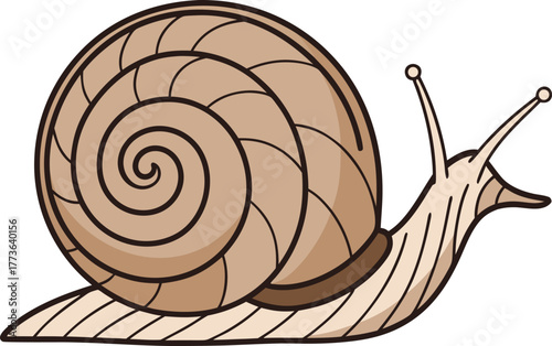 Snail Illustration Set. Garden Snail Outline Collection. Big Snail Line Art Design. Land Snail Minimal Icons. Snail Shell Drawing Set. Crawling Snail Outline Elements