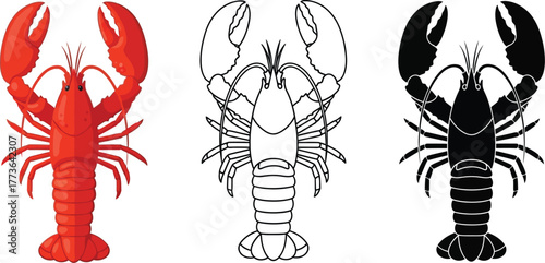 Three lobster illustrations in red black and outline on white background