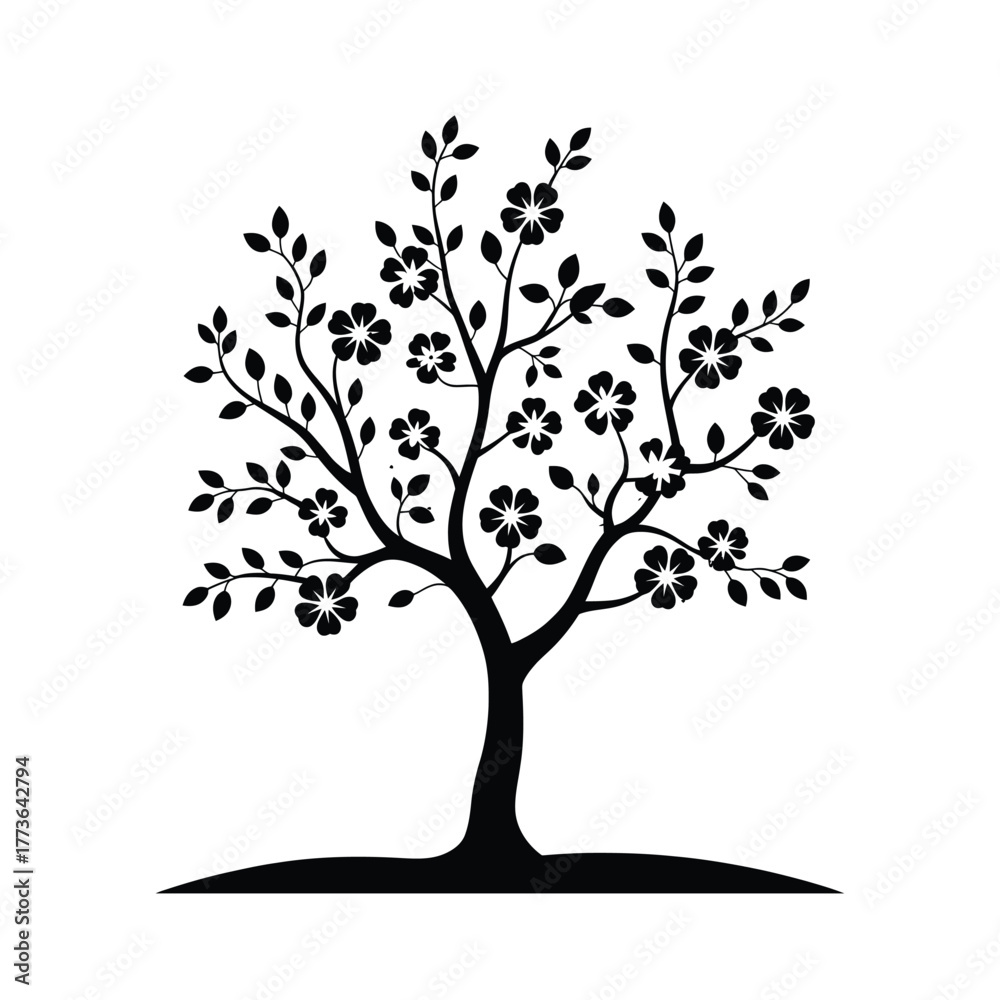 Fototapeta premium Silhouette of a blooming cherry blossom tree with delicate flowers