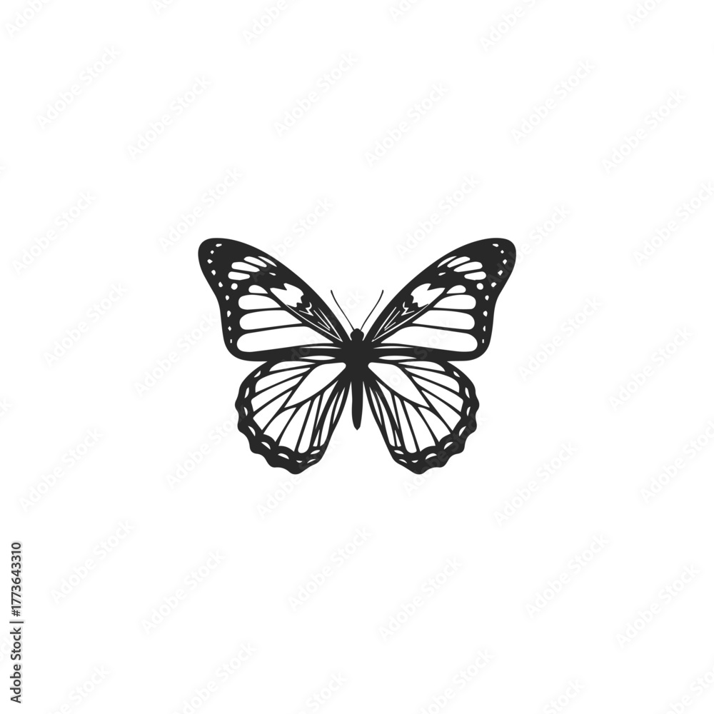 Fototapeta premium Minimalist Black and White Butterfly Vector Illustration.