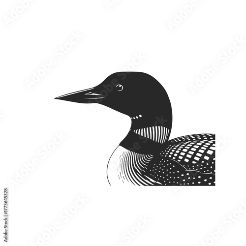 Elegant Black and White Loon Vector Illustration.