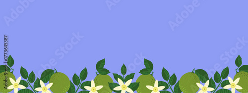 Simple citrus banner design featuring lime fruits, leaves, and flowers, with copy space on a bluish background, perfect for web designs, organic product ads, juice packaging, and summer sales.