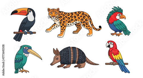 Set south american wildlife including jaguar, toucan, macaw, parrot, armadillo, and colorful bird