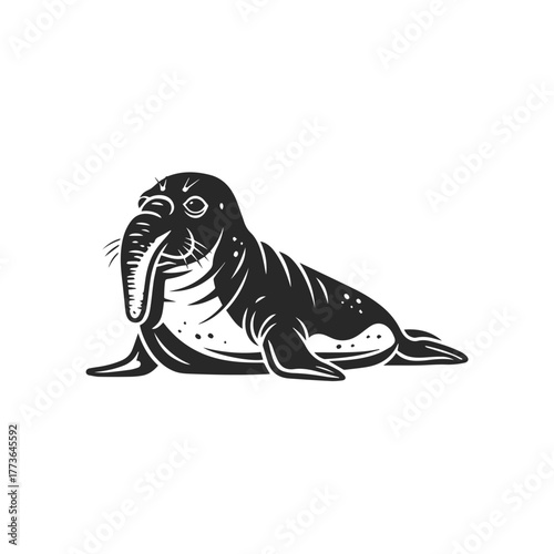 Black and White Walrus Marine Mammal Illustration.
