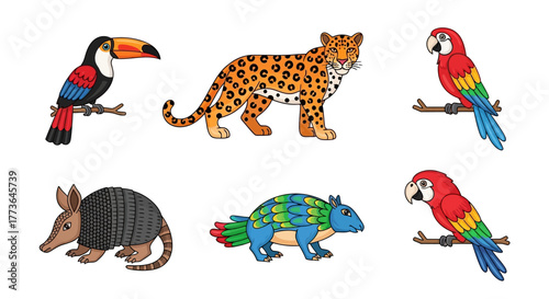 Set six colorful illustrations south american wildlife including toucan, jaguar, armadillo, capybara, and two parrots, perched on branches and showcasing biodiversity and natural habitats
