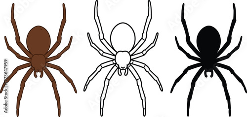 Spider illustration vector set arachnid insect drawing design