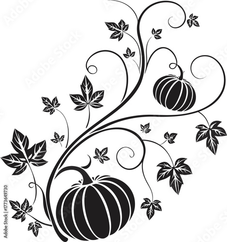 Outline illustration of a pumpkin and a sliced piece of squash