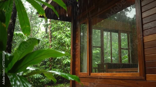 Rain streams down a wooden cabin window, showcasing a lush green forest, leaves in the foreground