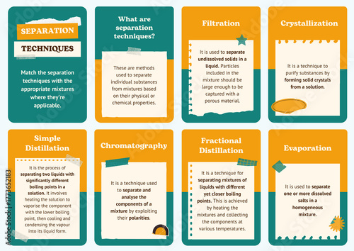 Vocabulary cards
