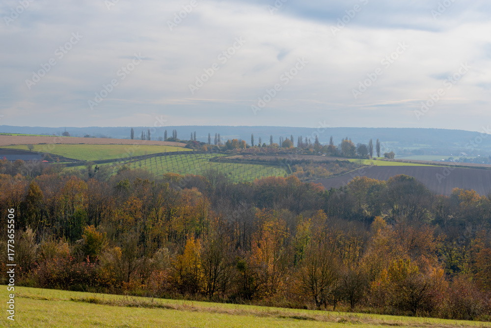 Naklejka premium Autumn landscape, Terrain hilly countryside in Zuid-Limburg, Small houses hidden on hillside, farm and forest, Eys is a village in the municipality of Gulpen-Wittem and region in Limburg, Netherlands