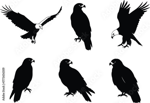 Eagle silhouette collection, flying and perched birds, raptor vector illustration, majestic predator design, wildlife art, black eagle graphic, bird drawing