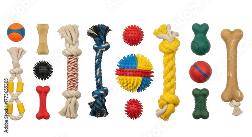 Colorful dog toys assortment isolated on a transparent background