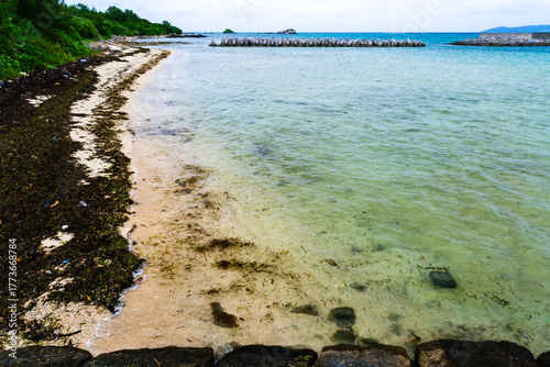 竹富島で見つけた南国の豊かな大自然と文化を感じる風景