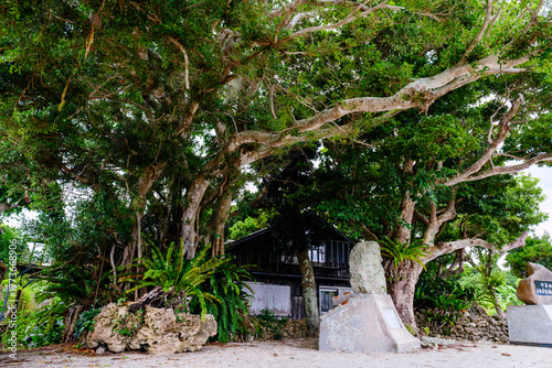 竹富島で見つけた南国の豊かな大自然と文化を感じる風景