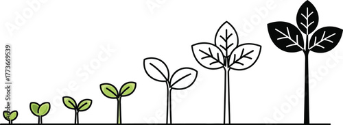 Illustration of sequential plant growth stages on white background