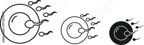 Sperm fertilizing egg illustration of human reproduction process