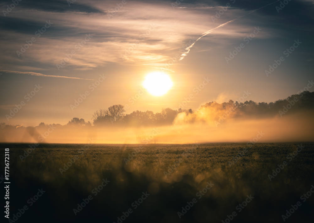 Fototapeta premium Sonnenaufgang an einem nebeligen Herbstmorgen