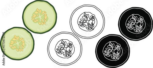 Illustration of cucumber slices in color and black and white style