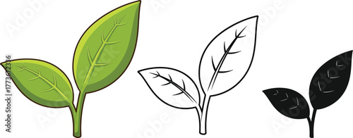 Leaf vector illustrations green black and white design set