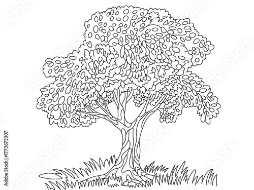 A detailed black and white illustration of a tree, designed for coloring enthusiasts who love to bring their artistic flair to life through nature-inspired creations.
