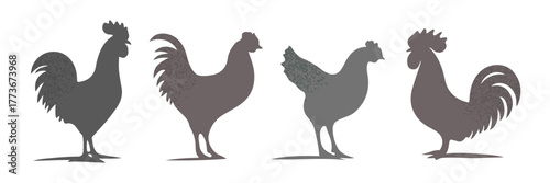 Set of silhouettes of vintage chickens and roosters on the farm, rustic textured style, black gray colors, isolated on white background, farm animals, vector. clean layout