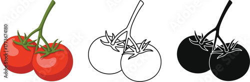 Three styles of two tomatoes on a vine illustration vector image