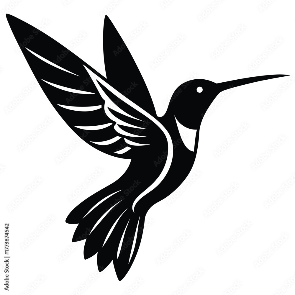 Obraz premium vector hummingbird in flight with gradient feather