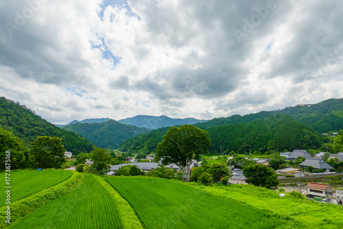 夏の日本の田舎、緑豊かな水田と山々が広がる農村風景
