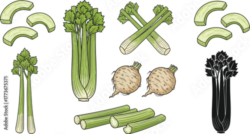 Various celery arrangements including whole stalks and sliced pieces