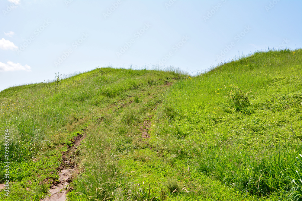 Fototapeta premium Grassy Hillside Path Under a Clear Blue Sky