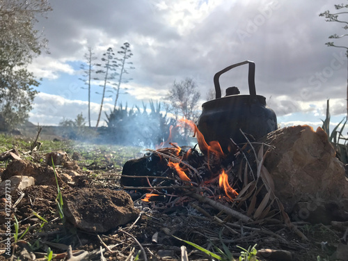 A teapot on the Firewood in nature	