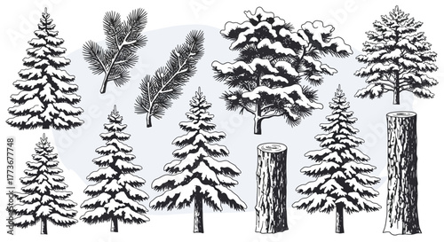Collection of hand-drawn winter trees and logs vintage engraved style isolated elements for Christmas and holiday designs
