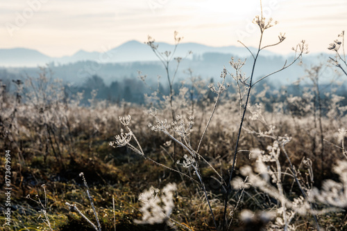 Wallpaper Mural Frozen grass meadow with mountains in distance Torontodigital.ca