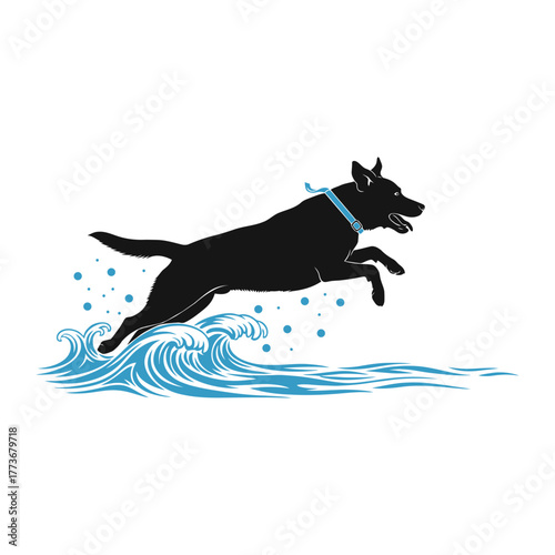 Energetic black labrador dog silhouette leaping through splashing blue water with a light blue collar captured mid air in a dynamic action shot against a white background